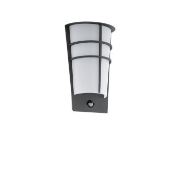 Eglo BREGANZO 1 Buiten muurverlichting LED Antraciet, 2-lichts, Bewegingsmelder