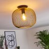 Moholm Plafondlamp Goud, Messing, Zwart, 1-licht