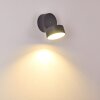 Ripen Buiten muurverlichting LED Antraciet, 1-licht