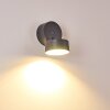 Ripen Buiten muurverlichting LED Antraciet, 1-licht