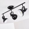 Tina Plafondlamp Zwart, 3-lichts