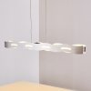 Nagold Hanglamp LED Nikkel mat, 1-licht