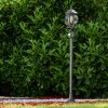 Lentua Buiten staande lamp Zwart, 1-licht, Bewegingsmelder