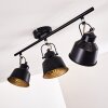 Safari Plafondlamp Zwart-Goud, 3-lichts