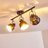 Safari Plafondlamp Zwart-Goud, 3-lichts