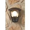 Philips myGarden CREEK Buiten muurverlichting Zwart, Transparant, Helder, 1-licht