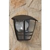 Philips myGarden CREEK Buiten muurverlichting Zwart, Transparant, Helder, 1-licht