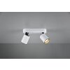 Trio PAGO Spotlamp Wit, 2-lichts