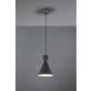Reality Enzo Hanglamp LED Zwart, 1-licht