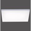 Paul Neuhaus FRAMELESS Paneel LED Wit, 1-licht, Afstandsbediening