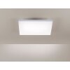 Paul Neuhaus FRAMELESS Paneel LED Wit, 1-licht, Afstandsbediening