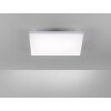 Paul Neuhaus FRAMELESS Paneel LED Wit, 1-licht, Afstandsbediening