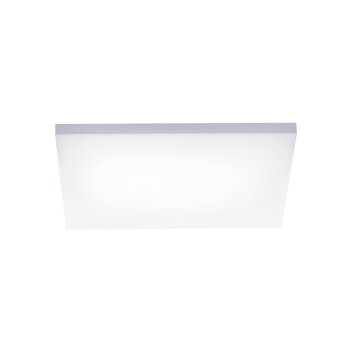 Paul Neuhaus FRAMELESS Paneel LED Wit, 1-licht, Afstandsbediening