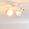 Tina Plafondlamp Wit, 2-lichts