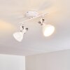 Tina Plafondlamp Wit, 2-lichts