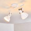 Tina Plafondlamp Wit, 2-lichts