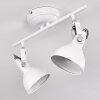 Tina Plafondlamp Wit, 2-lichts
