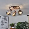 Arconciel Plafondlamp Bruin, 3-lichts