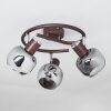 Arconciel Plafondlamp Bruin, 3-lichts