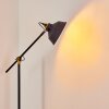 Luven Staande lamp Goud, Zwart, Zwart-Goud, 1-licht