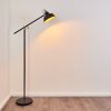 Luven Staande lamp Goud, Zwart, Zwart-Goud, 1-licht