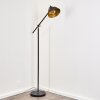 Luven Staande lamp Goud, Zwart, Zwart-Goud, 1-licht