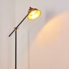 Luven Staande lamp Goud, Zwart, Zwart-Goud, 1-licht