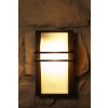 Eglo Park Buiten muurverlichting Glas, Wit, 1-licht