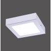 Leuchten-Direkt OSKAR Plafondlamp LED Zilver, 1-licht