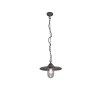 Trio Brenta Hanglamp Antraciet, 1-licht