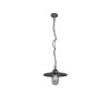 Trio Brenta Hanglamp Antraciet, 1-licht