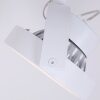 Steinhauer Mexlite Spotlamp LED Wit, 1-licht