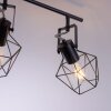 Leuchten-Direkt JARO Plafondlamp Hout licht, 4-lichts