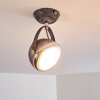 Foverup Plafondlamp Chroom, Grijs, 1-licht