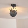Foverup Plafondlamp Chroom, Grijs, 1-licht