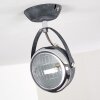 Foverup Plafondlamp Chroom, Grijs, 1-licht