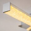 Georgina Plafondlamp LED Chroom, 2-lichts