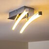 Georgina Plafondlamp LED Chroom, 2-lichts