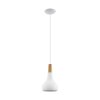 Eglo SABINAR Hanger Wit, 1-licht