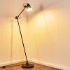 Pany Staande lamp Zwart, 1-licht