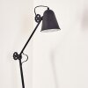 Pany Staande lamp Zwart, 1-licht