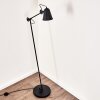 Pany Staande lamp Zwart, 1-licht