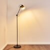 Pany Staande lamp Zwart, 1-licht