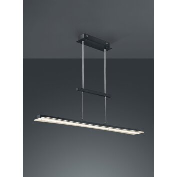 Reality Smash Hanglamp LED Zwart, 1-licht
