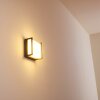 Skove Buiten muurverlichting LED Antraciet, 1-licht
