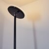 Wonsbek Staande lamp LED Zwart, 1-licht