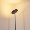 Wonsbek Staande lamp LED Zwart, 1-licht