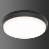 LCD TYP 5066 Buitenshuis plafond verlichting LED Zwart, 1-licht