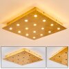 Pionnat Plafondlamp LED Goud, 16-lichts