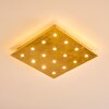 Pionnat Plafondlamp LED Goud, 16-lichts